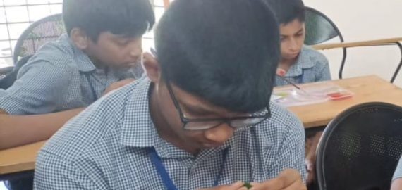 Unfolding the intricacies of a leaf
