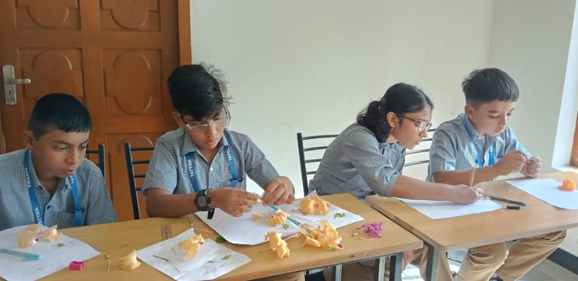 Grades 5 and 6 Actively Engaged in Science activity