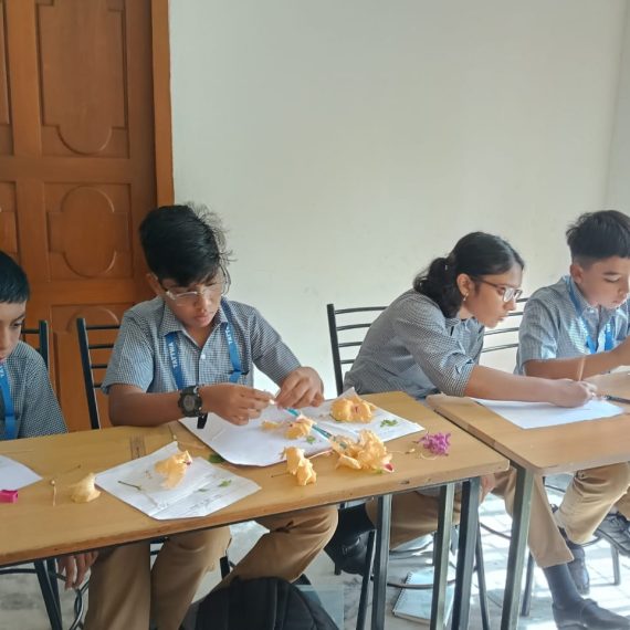 Grades 5 and 6 Actively Engaged in Science activity